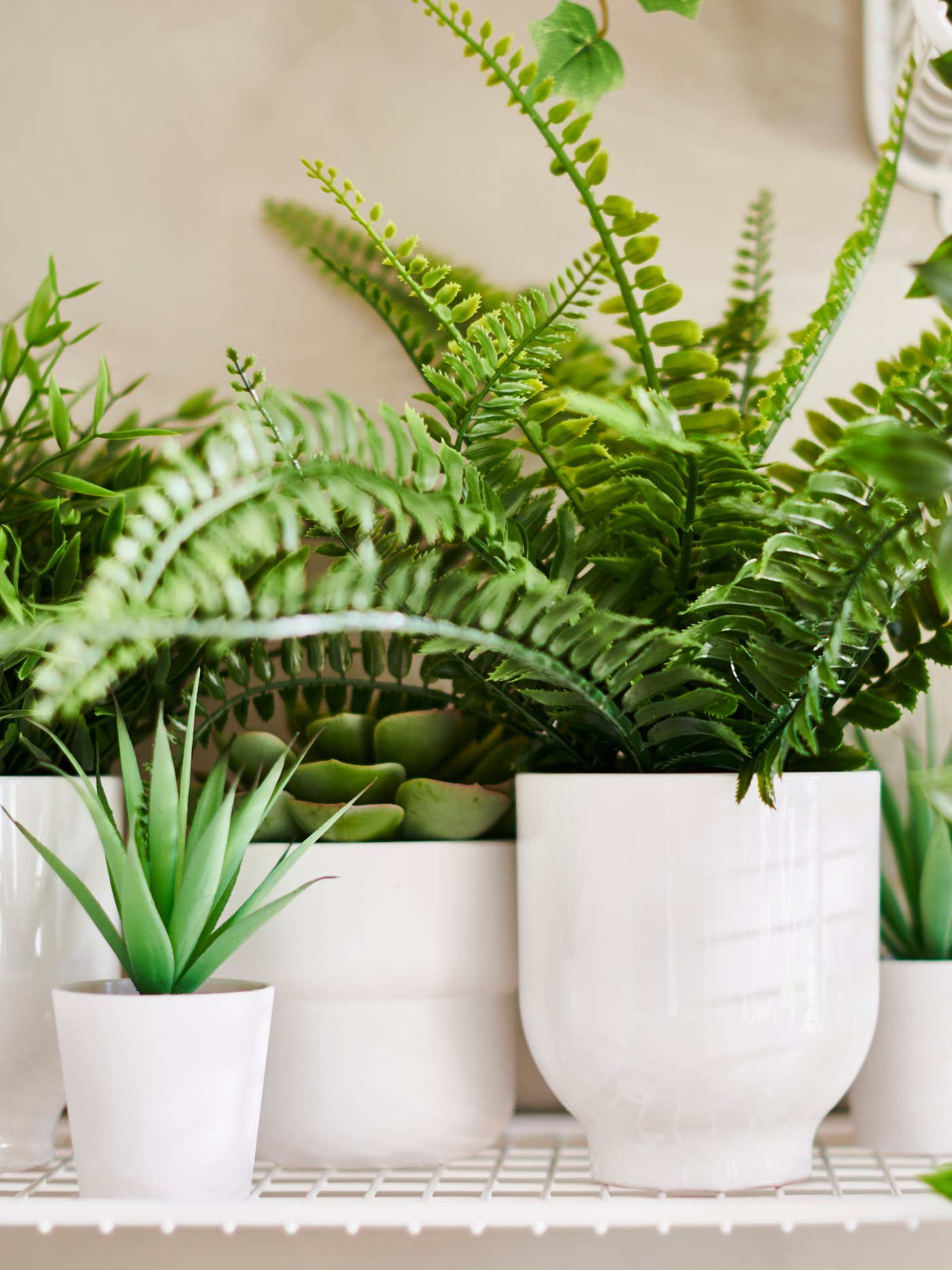 Different types of FEJKA artificial plants including ferns, succulents and hanging, clustered together on a white shelf.