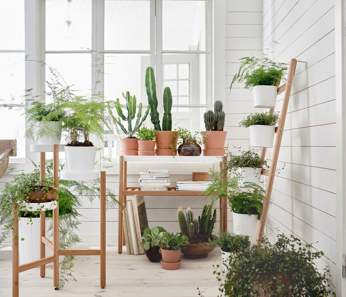 Several SATSUMAS bamboo/white plant stands inside a bright room with lots of green plants.