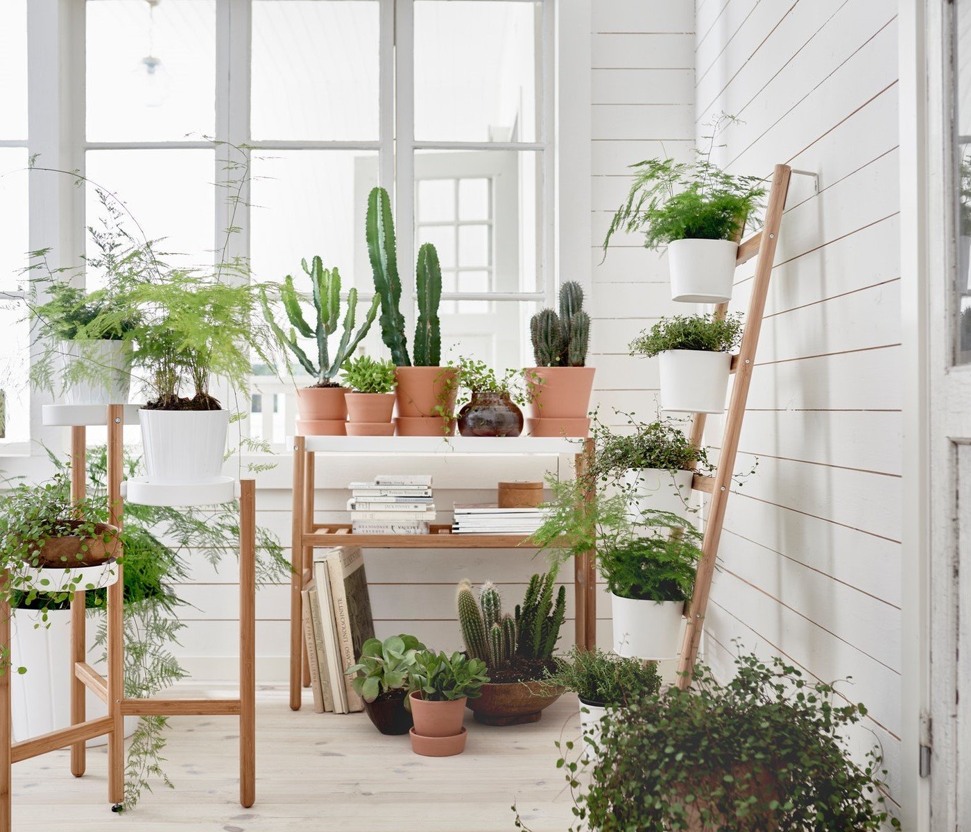 A bamboo/white SATSUMAS plant stand with 5 plant pots