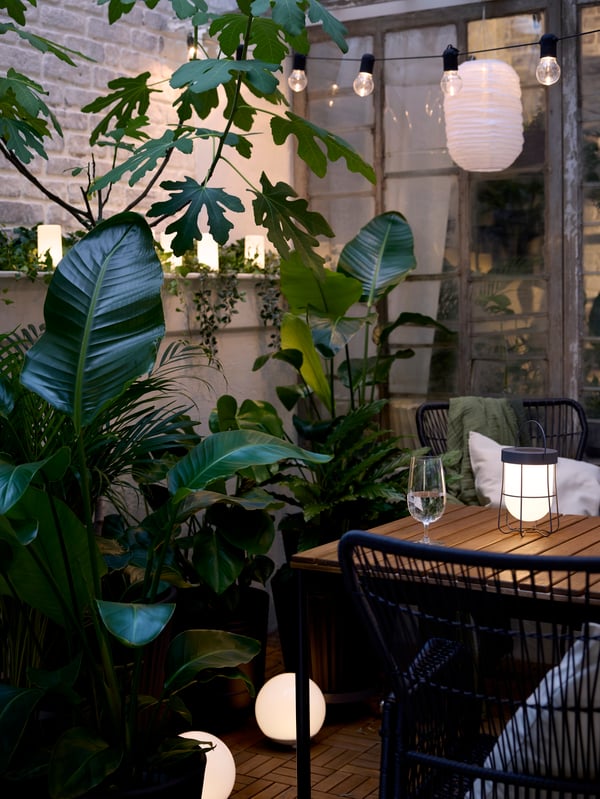 A cosy patio in evening light with a table, mood lighting, SOLVINDEN LED pendant and table lamps, and large, green plants.