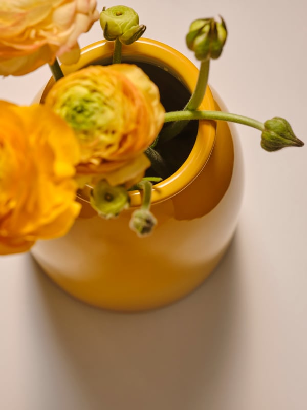 Blooming yellow flowers and bulbs, placed in a bright yellow KOPPARBJÖRK vase on a cream-coloured surface.