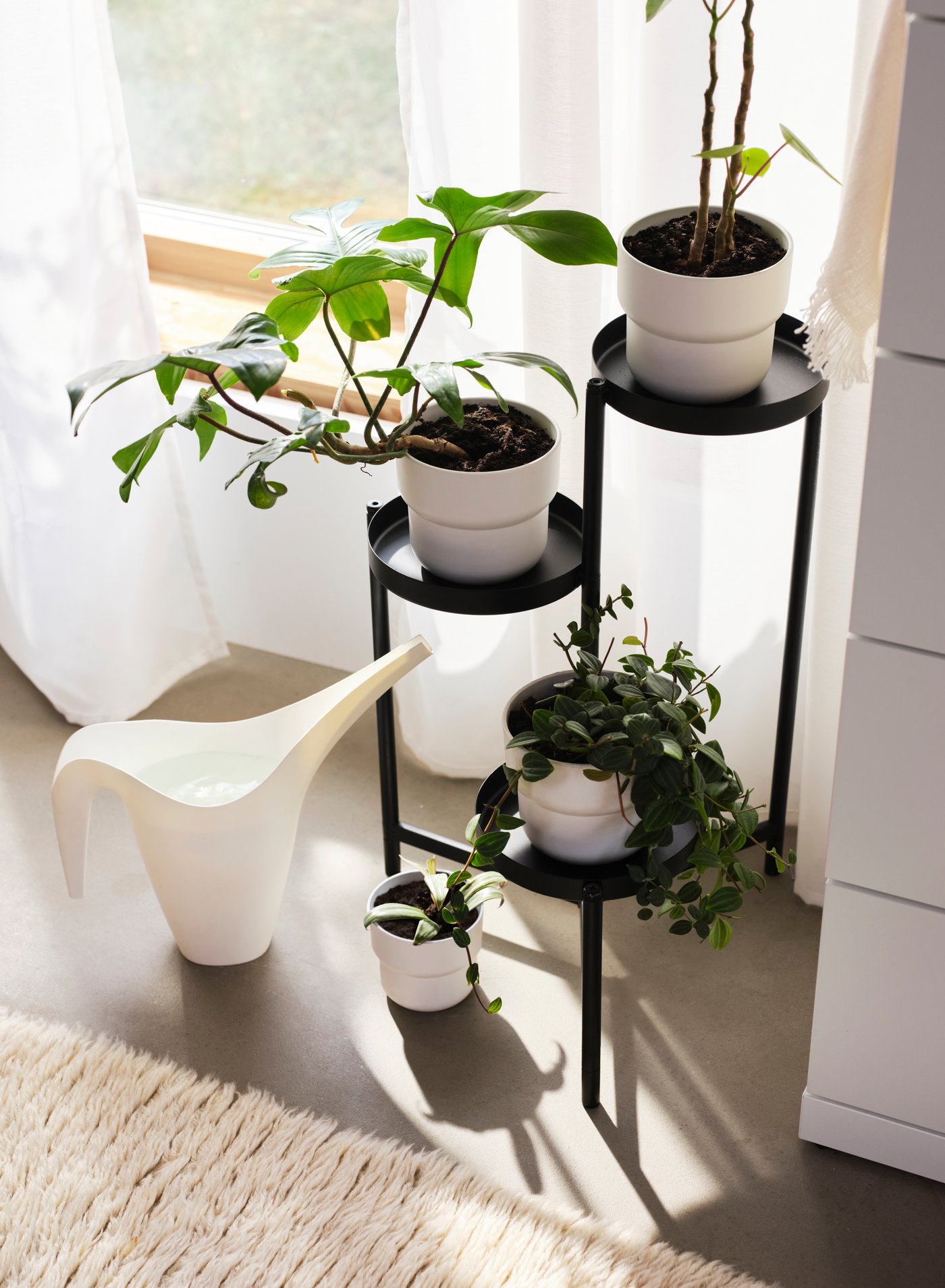 Un soporte para plantas OLIVBLAD negro con tres repisas con diferentes plantas.