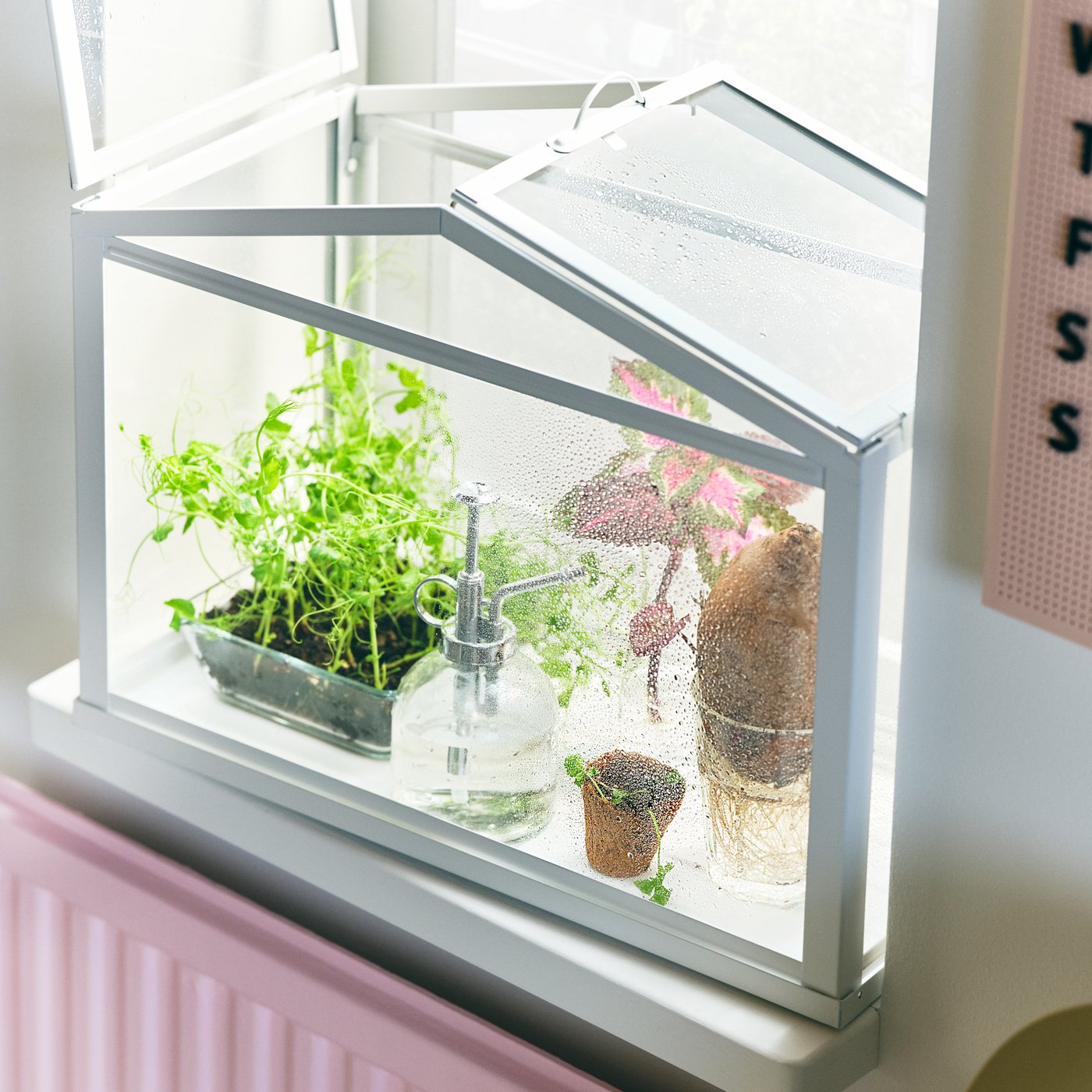 Gros plan d’un jardin d’intérieur SOCKER.