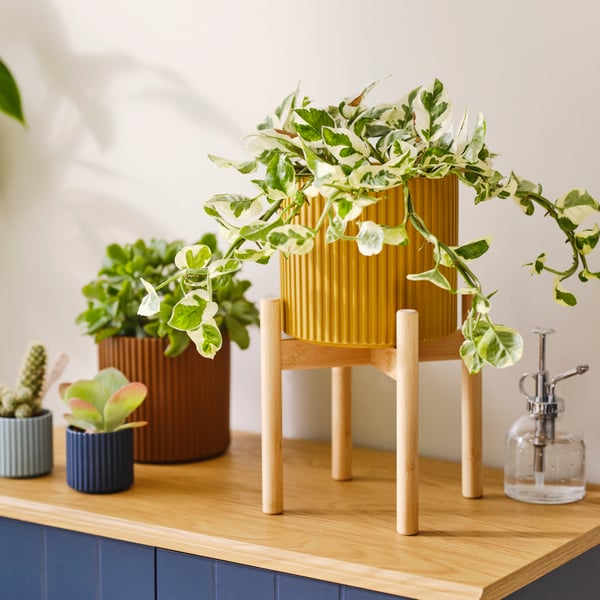 A bamboo DAKSJUS plant stand