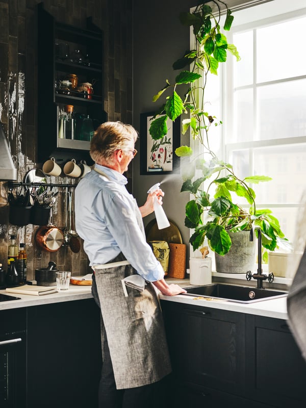 A person watering a plant in a BOYSENBÄR plant pot in a kitchen with black stained LERHYTTAN doors and drawer fronts.