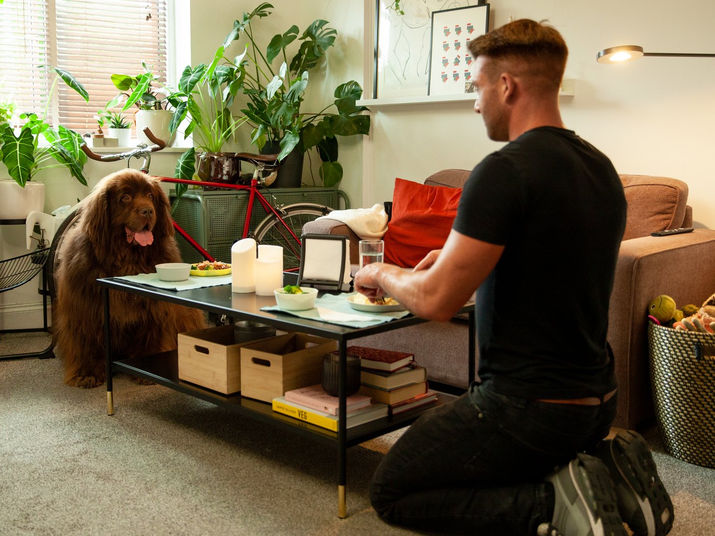 A dog and a man sit on the floor, with dinner plates in front of them on a sofa table.