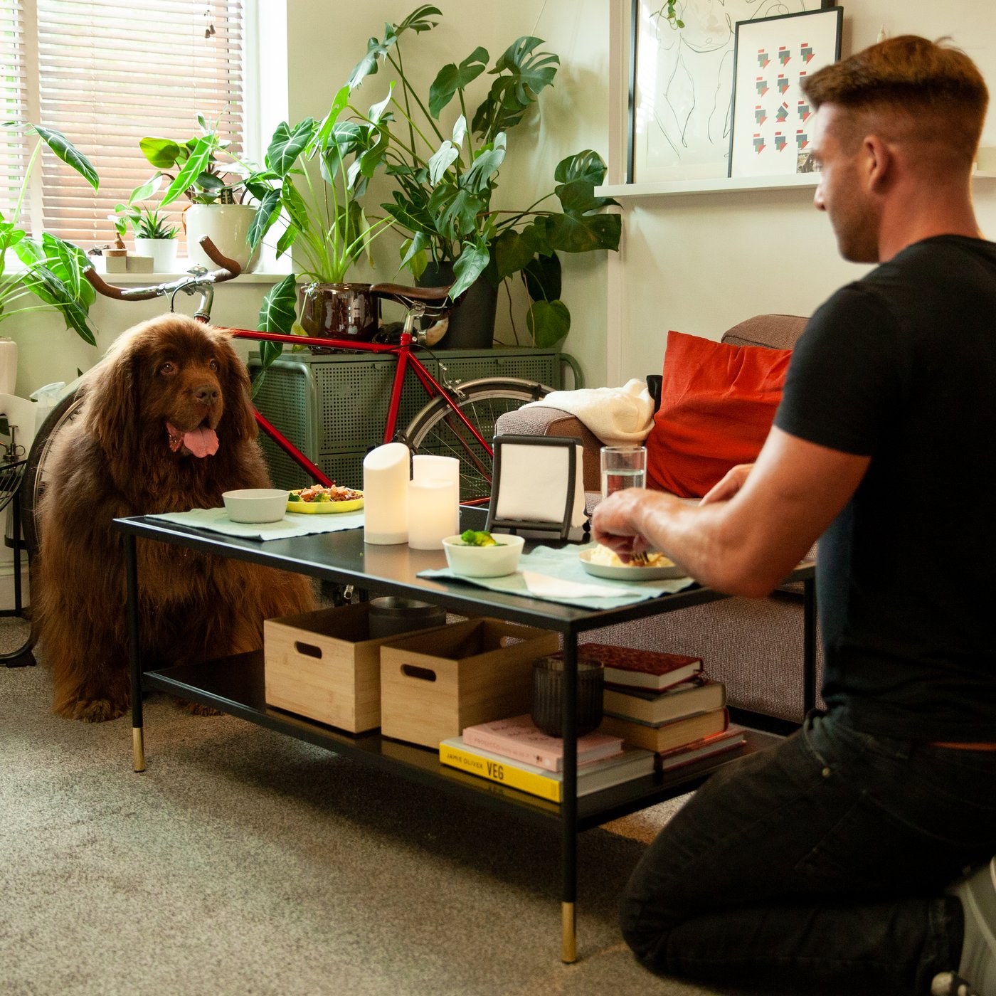 A dog and a man sit on the floor, with dinner plates in front of them on a sofa table.