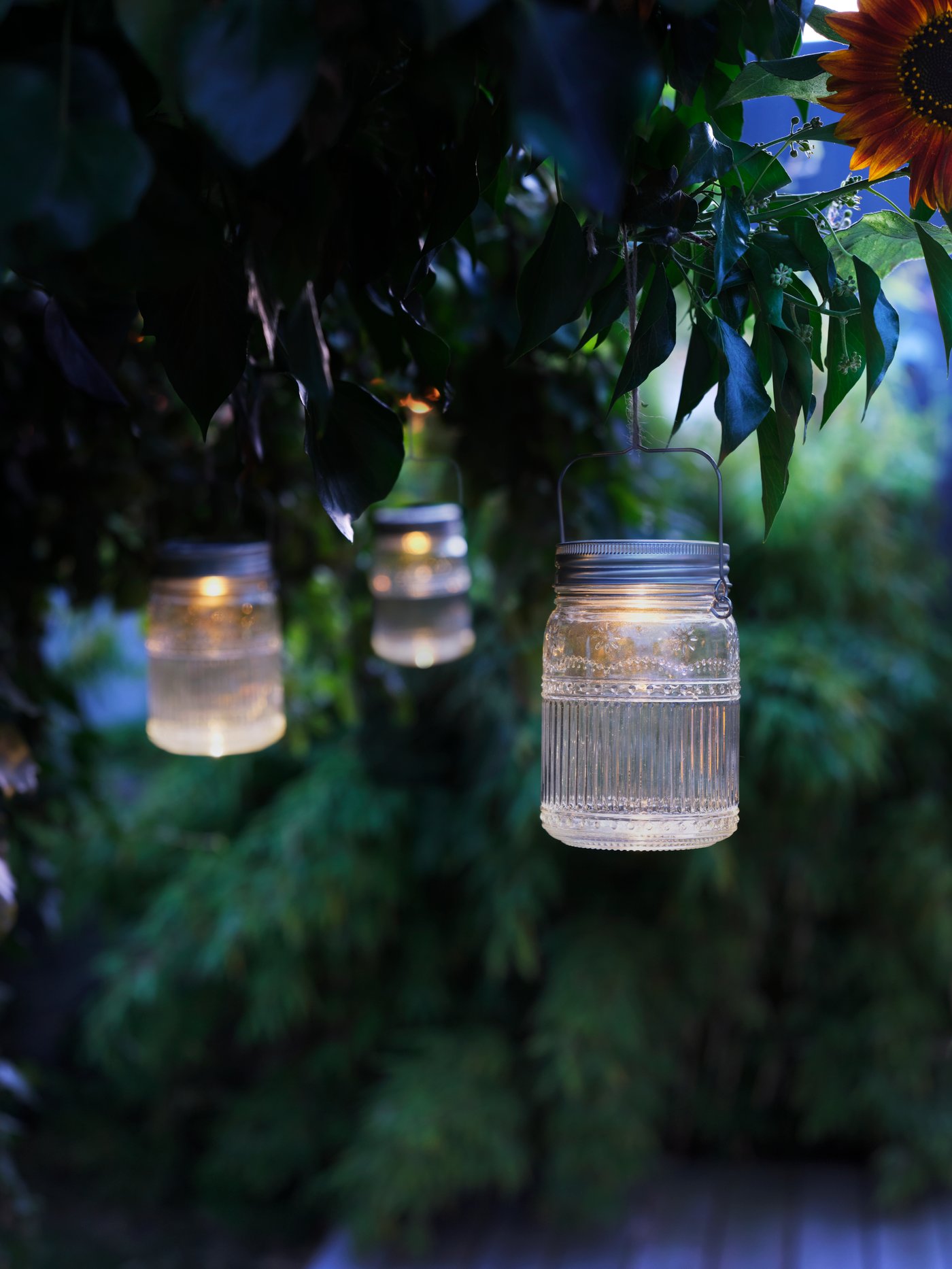 Feuillages d’été dans le couchant. Trois lampes de table SOLVINDEN à LED et énergie solaire en forme de bocal pour l’extérieur sont suspendues aux branches d’un arbre.