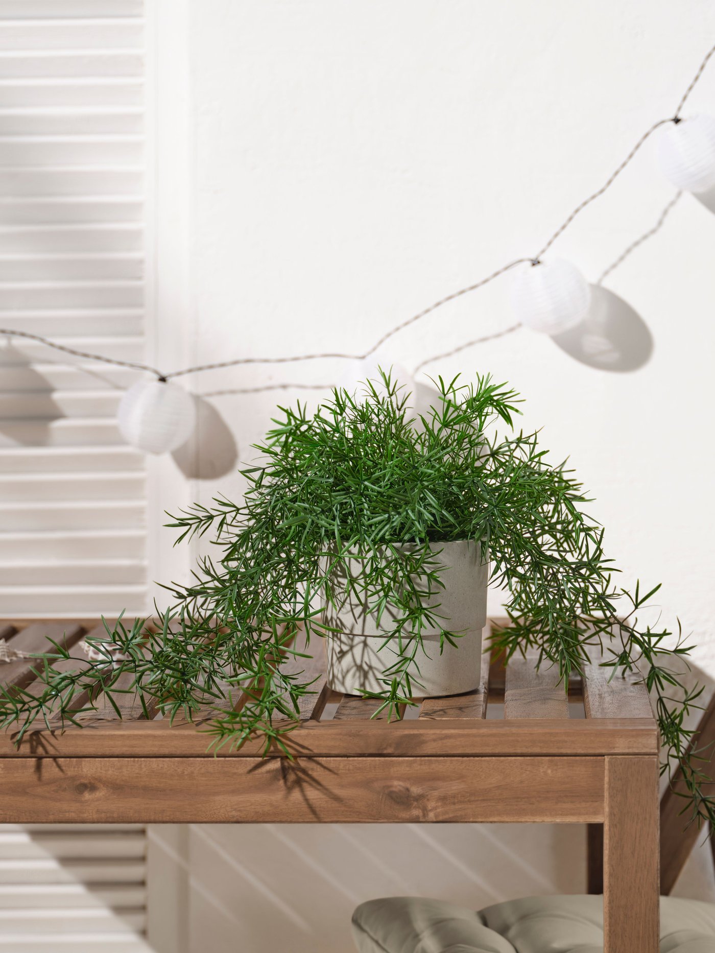 An in/outdoor Asparagus/hanging FEJKA artificial potted plant