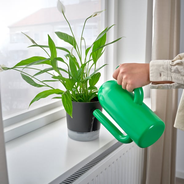 An in/outdoor transparent/anthracite VÅRDTRÄD self-watering plant pot
