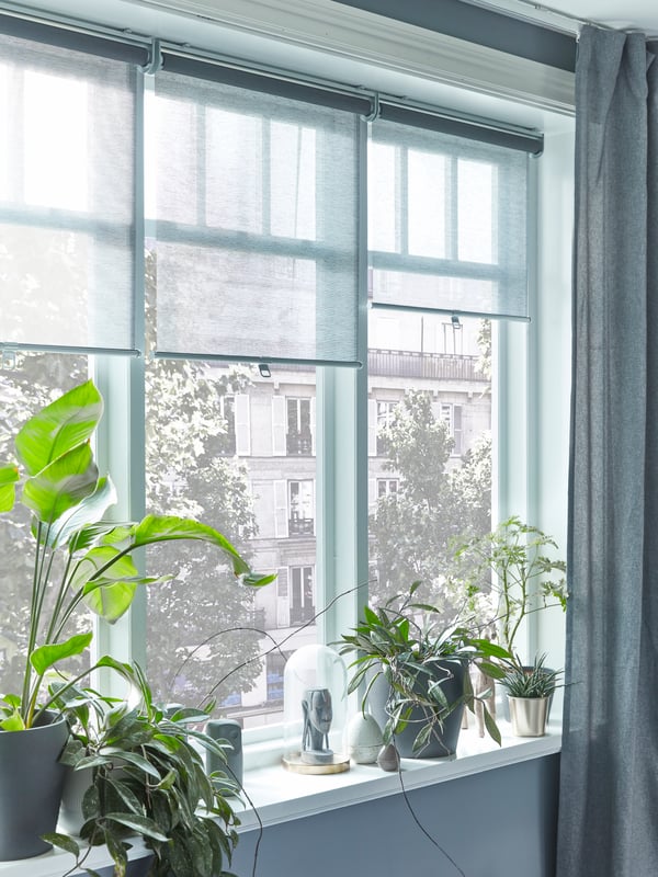 En una ventana se ven 3 cortinas roller SKOGSKLÖVER filtrantes.