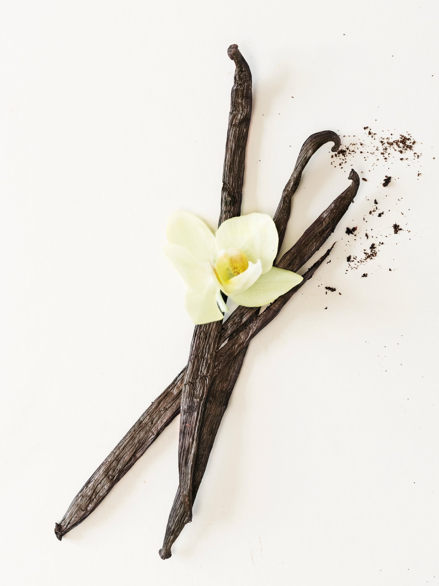 A Vanilla pale beige LOTSFÅGEL scented candle in glass