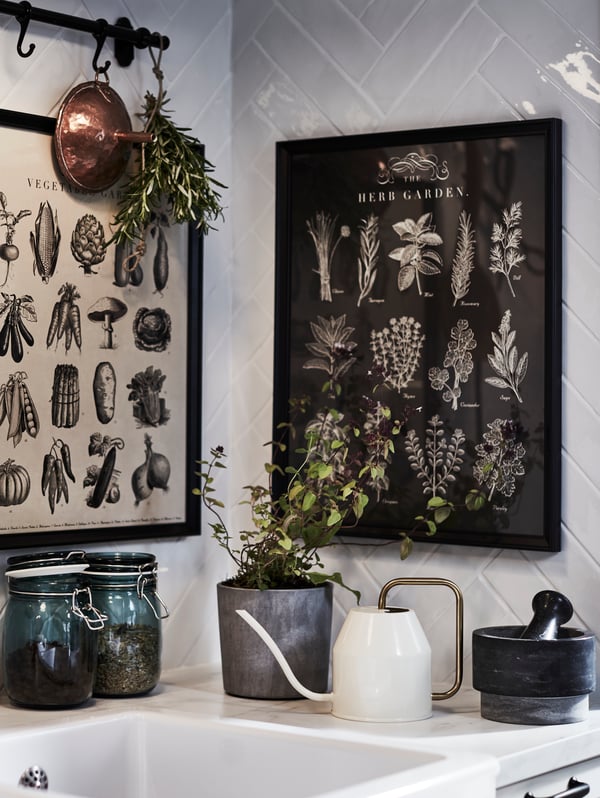 A sink in the corner of a kitchen surrounded by picture frames with herb motifs, herbs and a brass/white watering can.