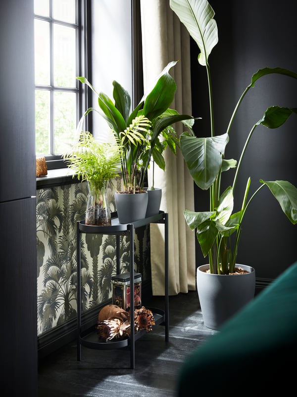 PERSILLADE plant pots and a KARRAF carafe are placed on a OLIVBLAD plant stand in a dimly lit room.