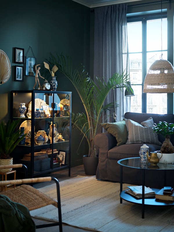 Un salon avec un canapé 2 places EKTORP gris, une table basse VITTSJÖ brun-noir, et une vitrine RUDSTA.