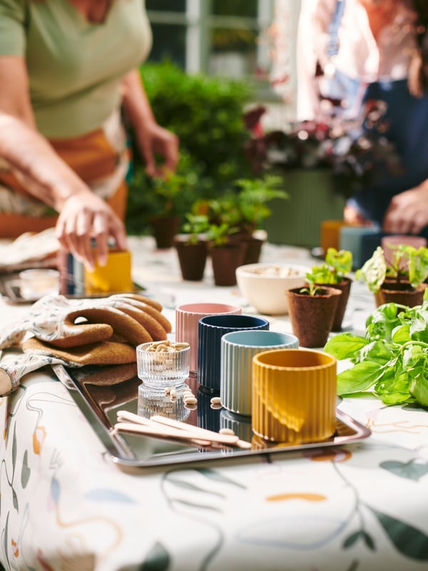 A person preparing a table with plants, DAKSJUS trays, plant pots and accessories on a sprout-patterned DAKSJUS tablecloth.