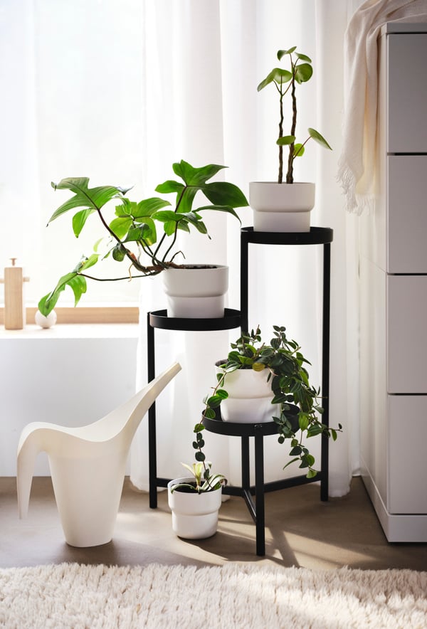 Un soporte para plantas al costado de una ventana.