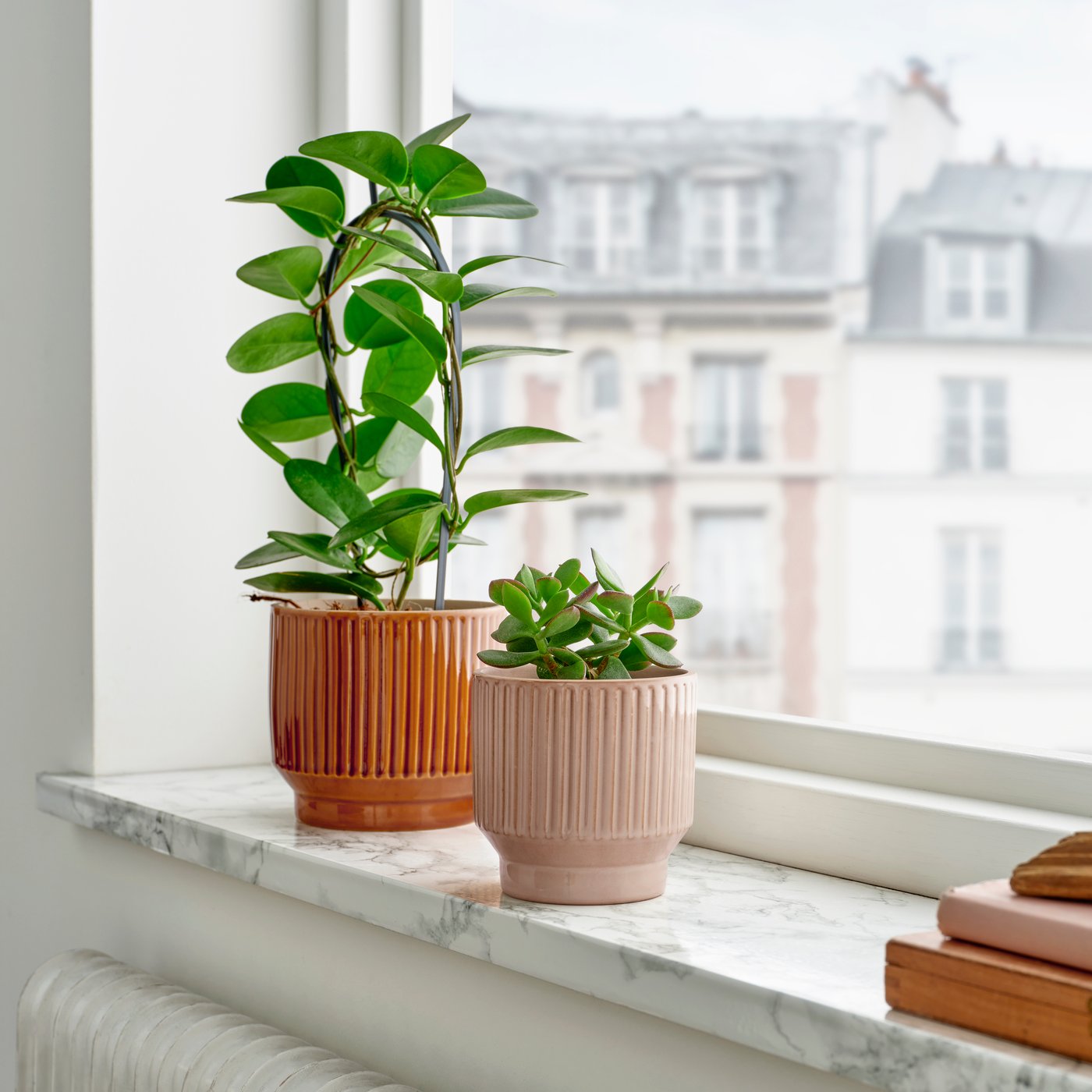 Beigefarbener HONUNGSPALM Blumentopf für Innen- und Außenbereich.