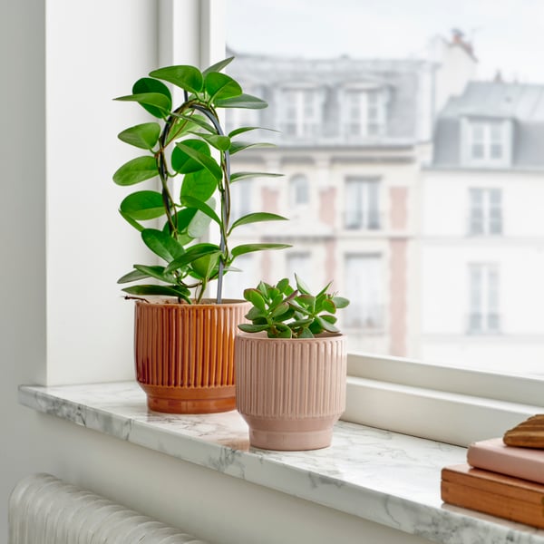 An in/outdoor/beige HONUNGSPALM plant pot