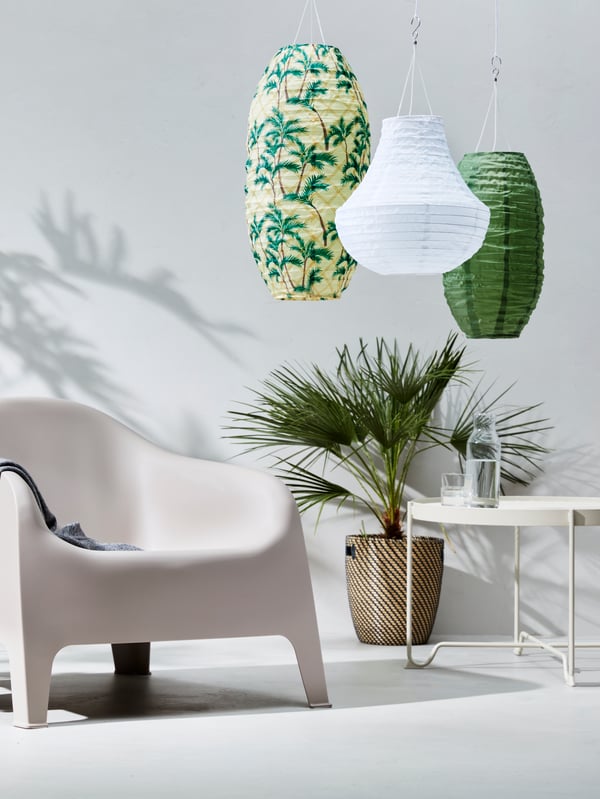 Bright sunlight shining on a Pilea plant in a MUSKOTBLOMMA plant pot with saucer on a table.