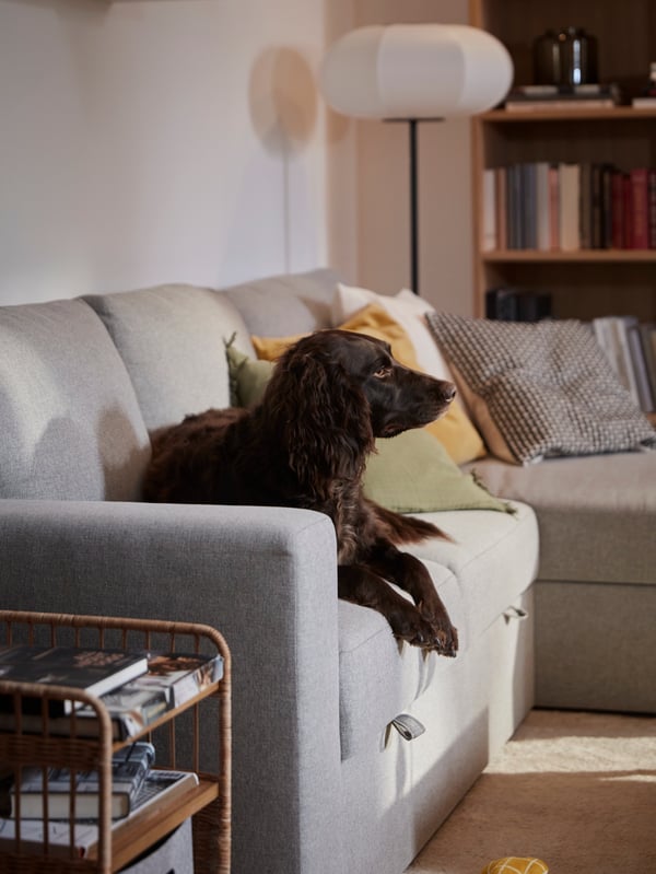 An off-white STOENSE rug, low pile in the living room