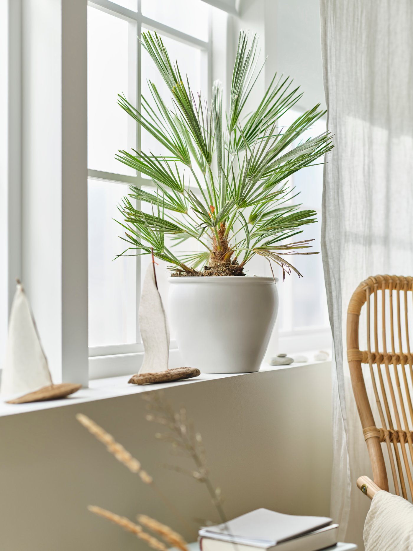 An in/outdoor/white AMBRARÖNN plant pot