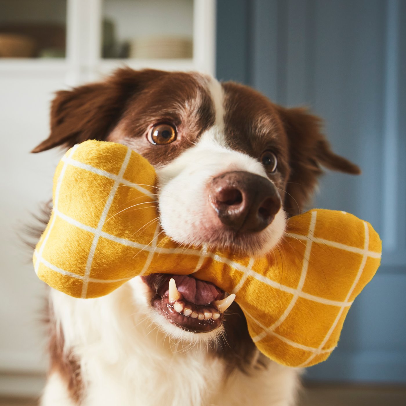 An yellow UTSÅDD soft toy for dog