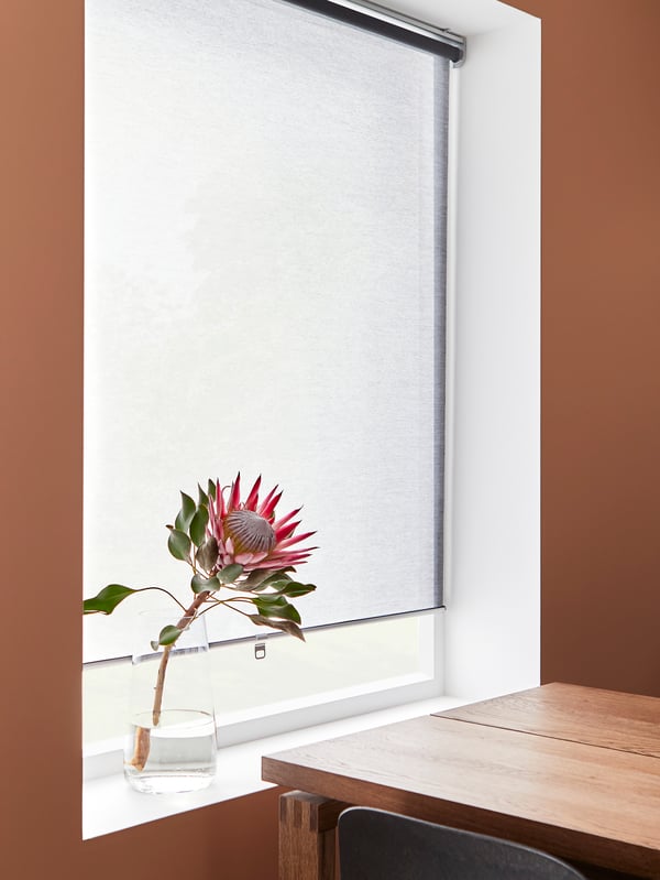 A dark pink dining room with a grey roller blind, a plant in the window sill and a table in brown stained oak veneer.