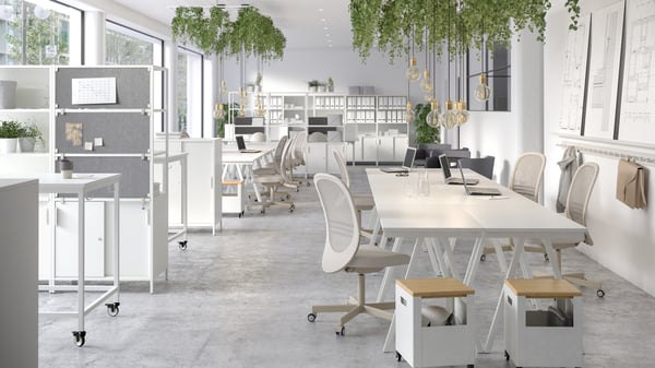 Bright open-plan office with white desks ergonomic chairs laptops and hanging green plants.