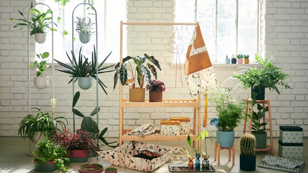 The DAKSJUS collection with plant stands and pots