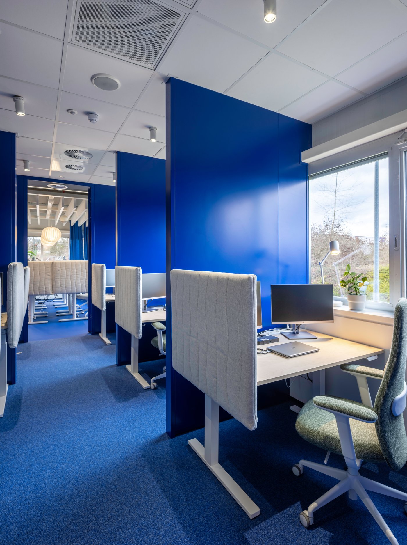 Une rangée de cabines de travail IKEA bleues avec des bureaux et des chaises ergonomiques crée un espace de travail calme et concentré, baigné de lumière naturelle.