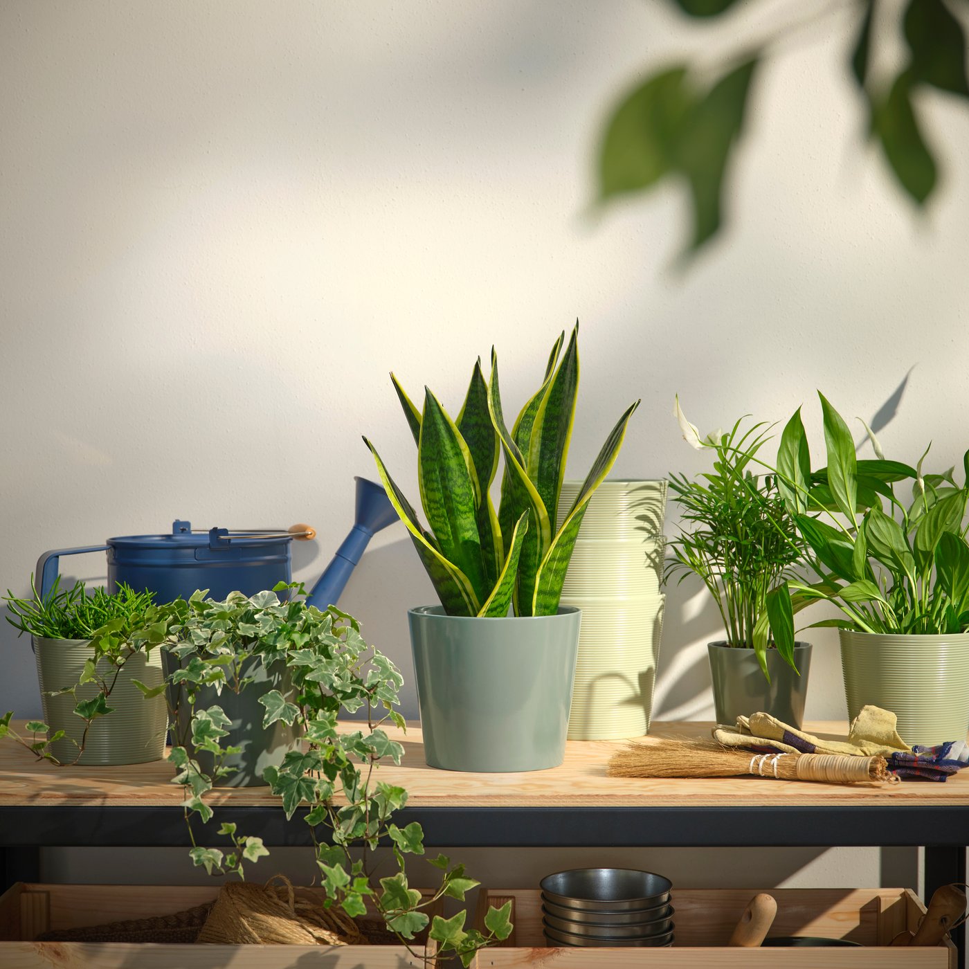 A grey/green SOJABÖNA plant pot