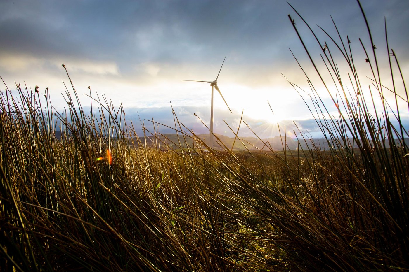 Tips for more sustainable living.