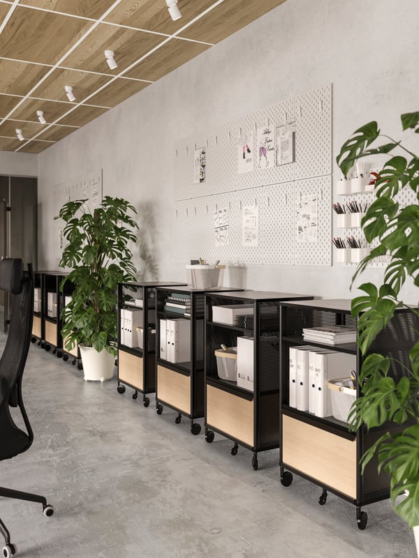 A row of small black filing cabinets with large plants in between them.