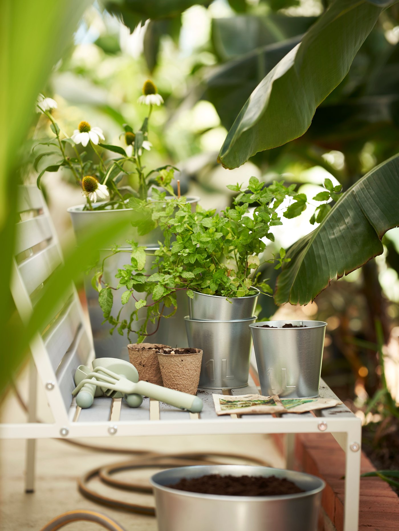 Some ÅKERBÄR plant pots in different sizes with plants and flowers in them placed on a white bench.