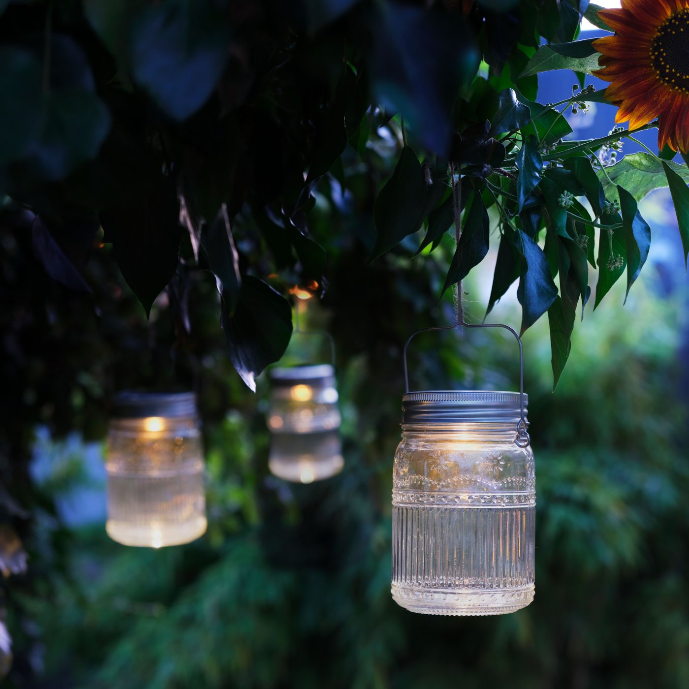 Summer night foliage. Three glowing, clear glass solar-powered SOLVINDEN LED outdoor jar table lamps hang from tree branches.