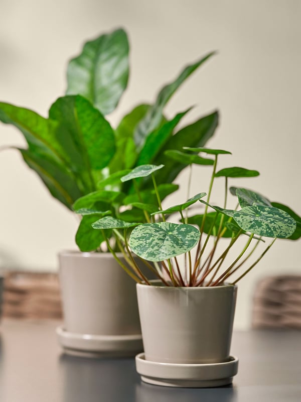 An in/outdoor/grey/beige KLOTLÖNN plant pot with saucer