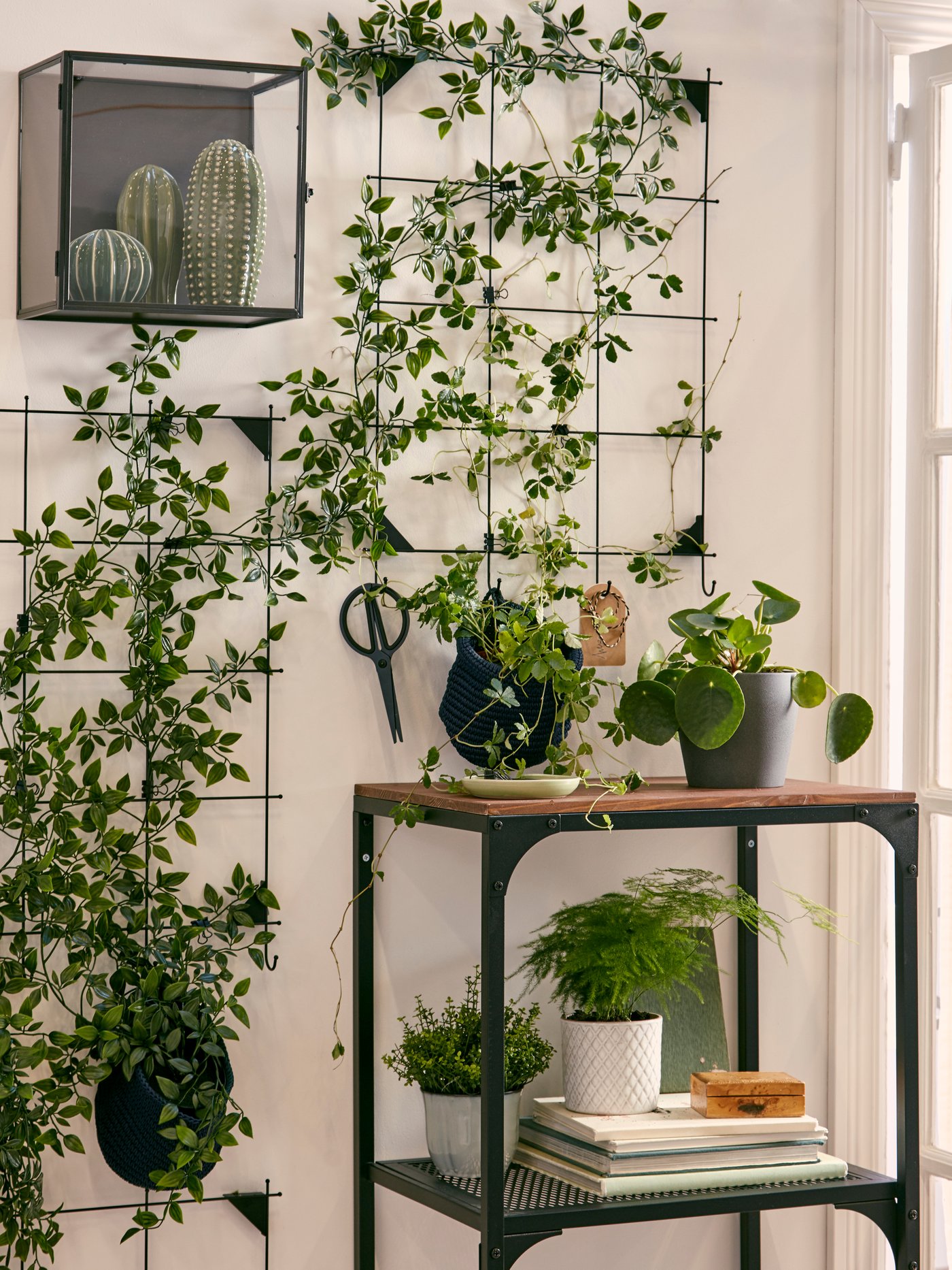 A black FJÄLLBO shelf unit and a display box and memo board used to highlight decorative green plants indoors.