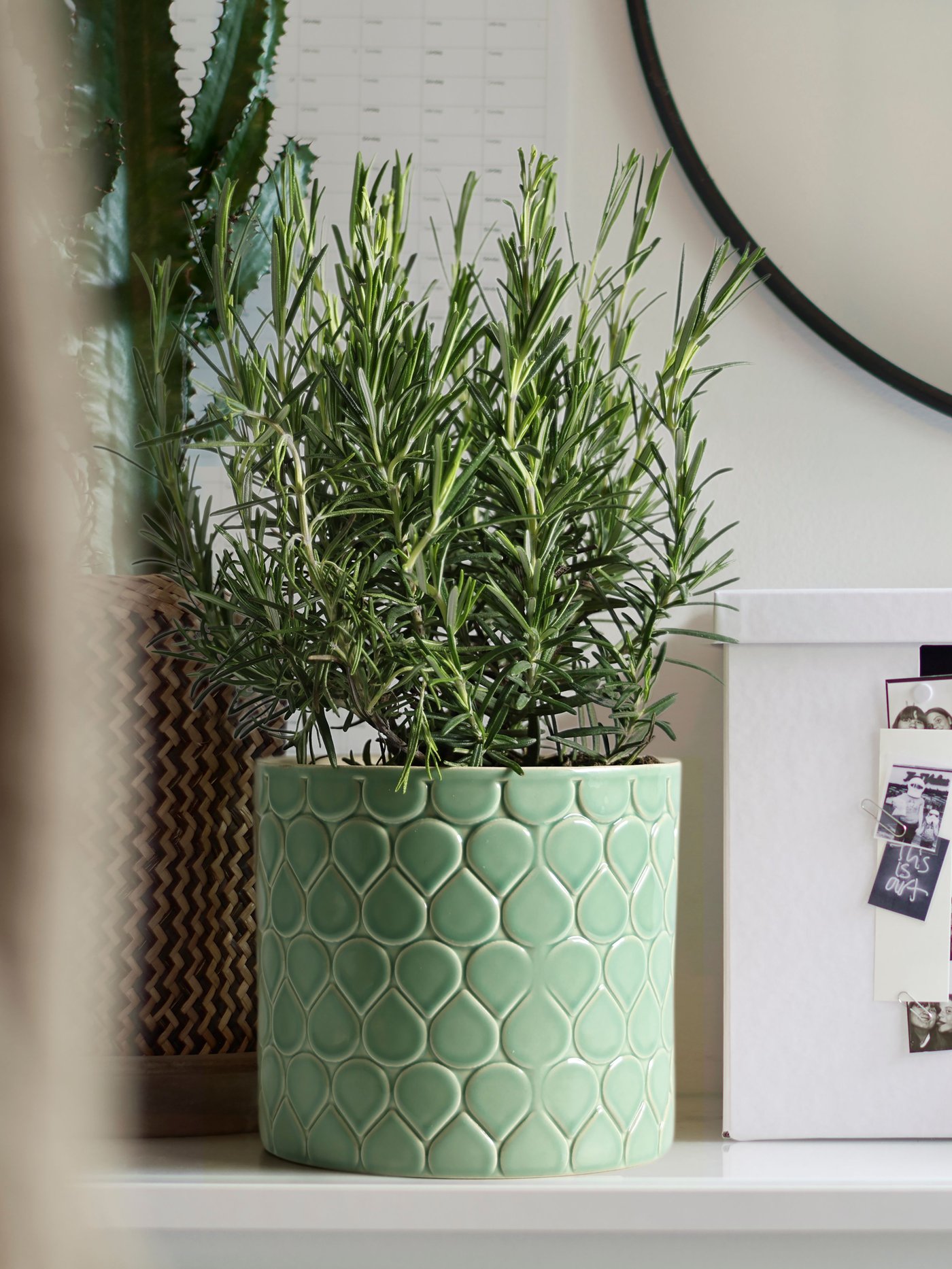 Flower pots & planters