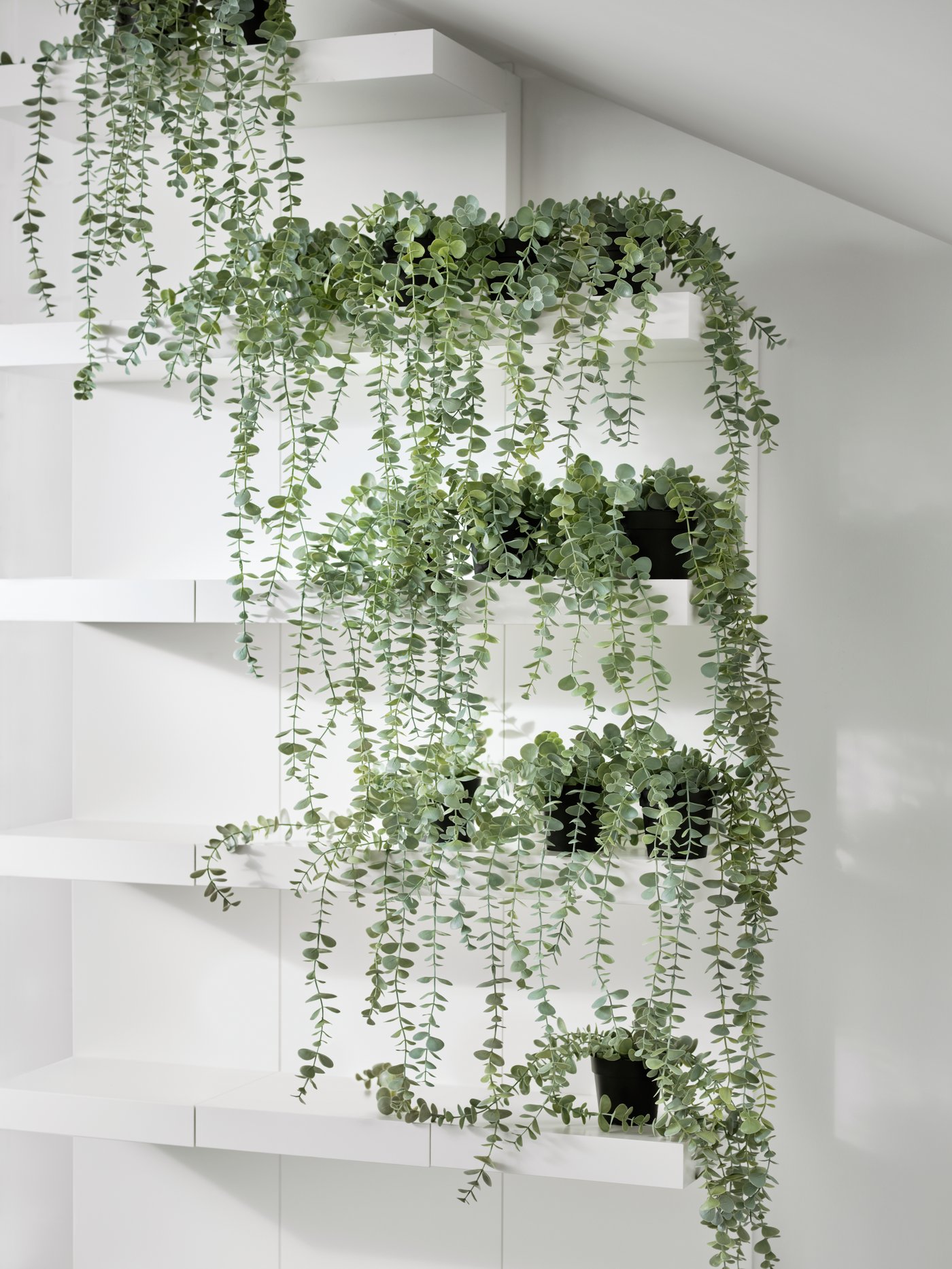 Cinco repisas en una pared blanca, donde cada unat tiene una planta colgante artificial FEJKA, creando así un efecto cascada.