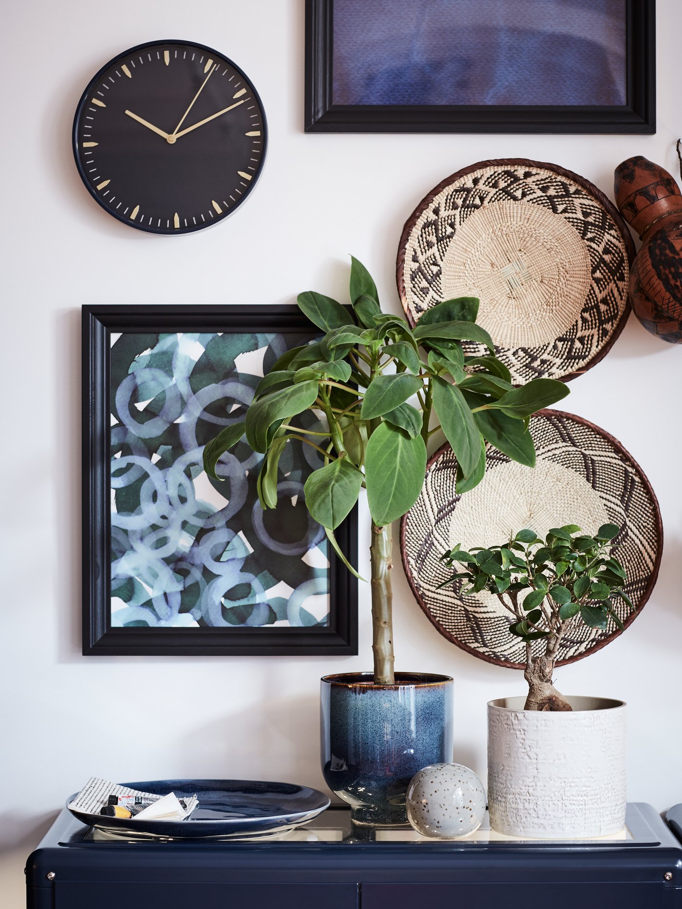 Two pot plants and a blue dish on top of a blue surface with a wall of art behind it.