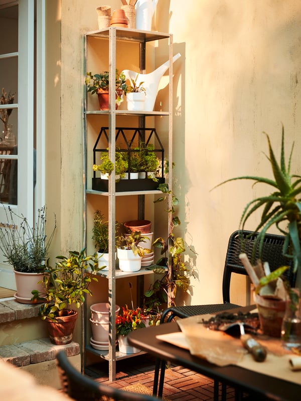 Une étagère métallique haute avec des plantes et des fines herbes en pot, un arrosoir blanc, une serre décorative noire et des pots.