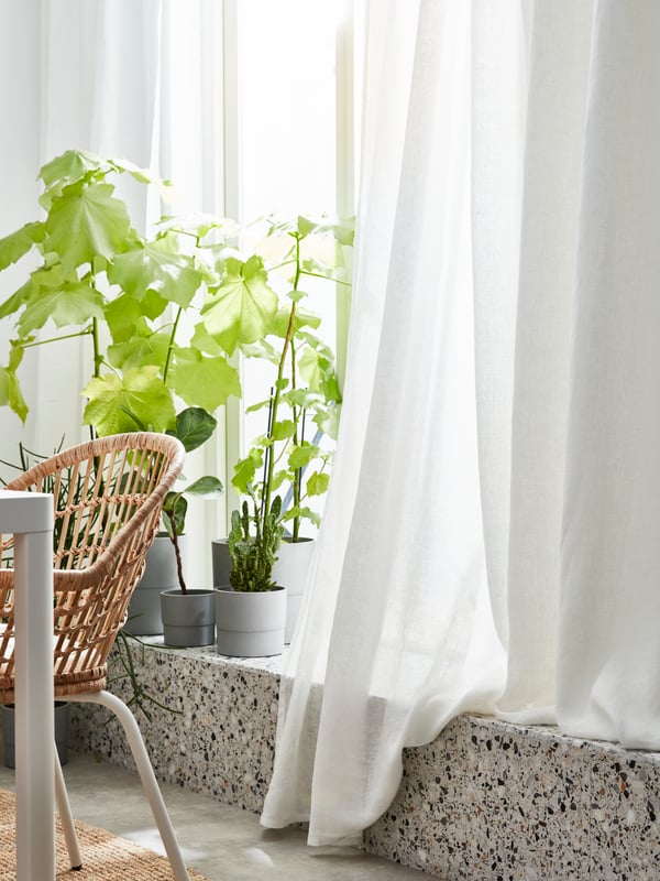 Different sized NYPON plant pots with different plants, placed in front of a window, protected with LEJONGAP curtains.