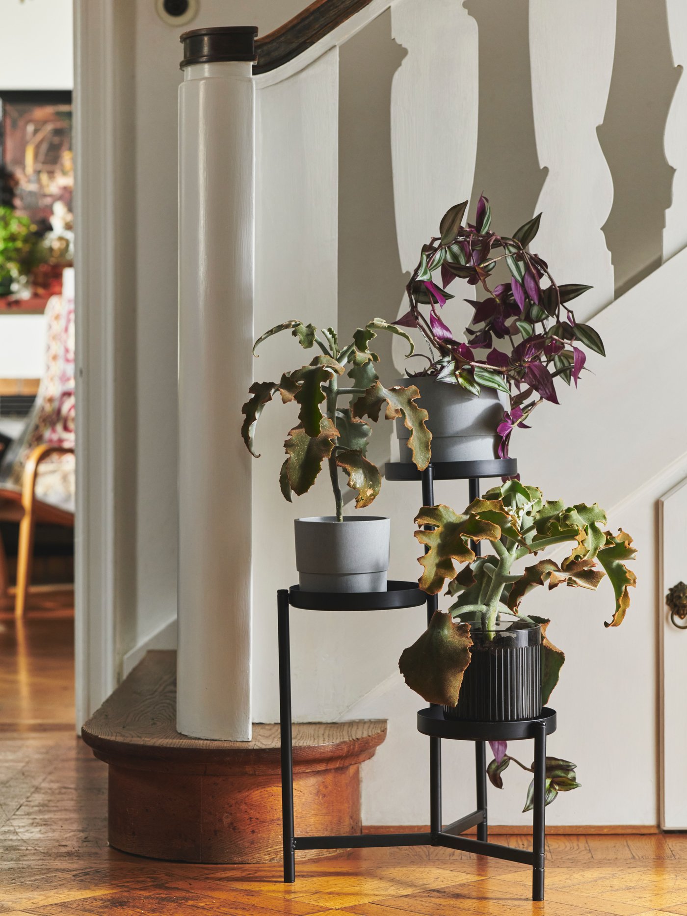 An in/outdoor grey GRADVIS plant pot