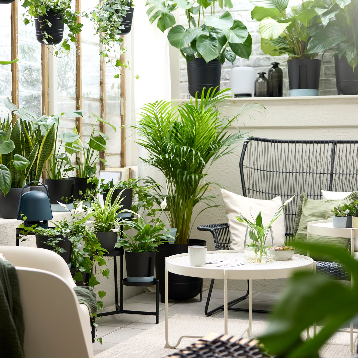 A lush sunroom with many green plants, a TALLSKÄR outdoor 2-seat sofa and armchair, and a beige SKARPÖ outdoor armchair.