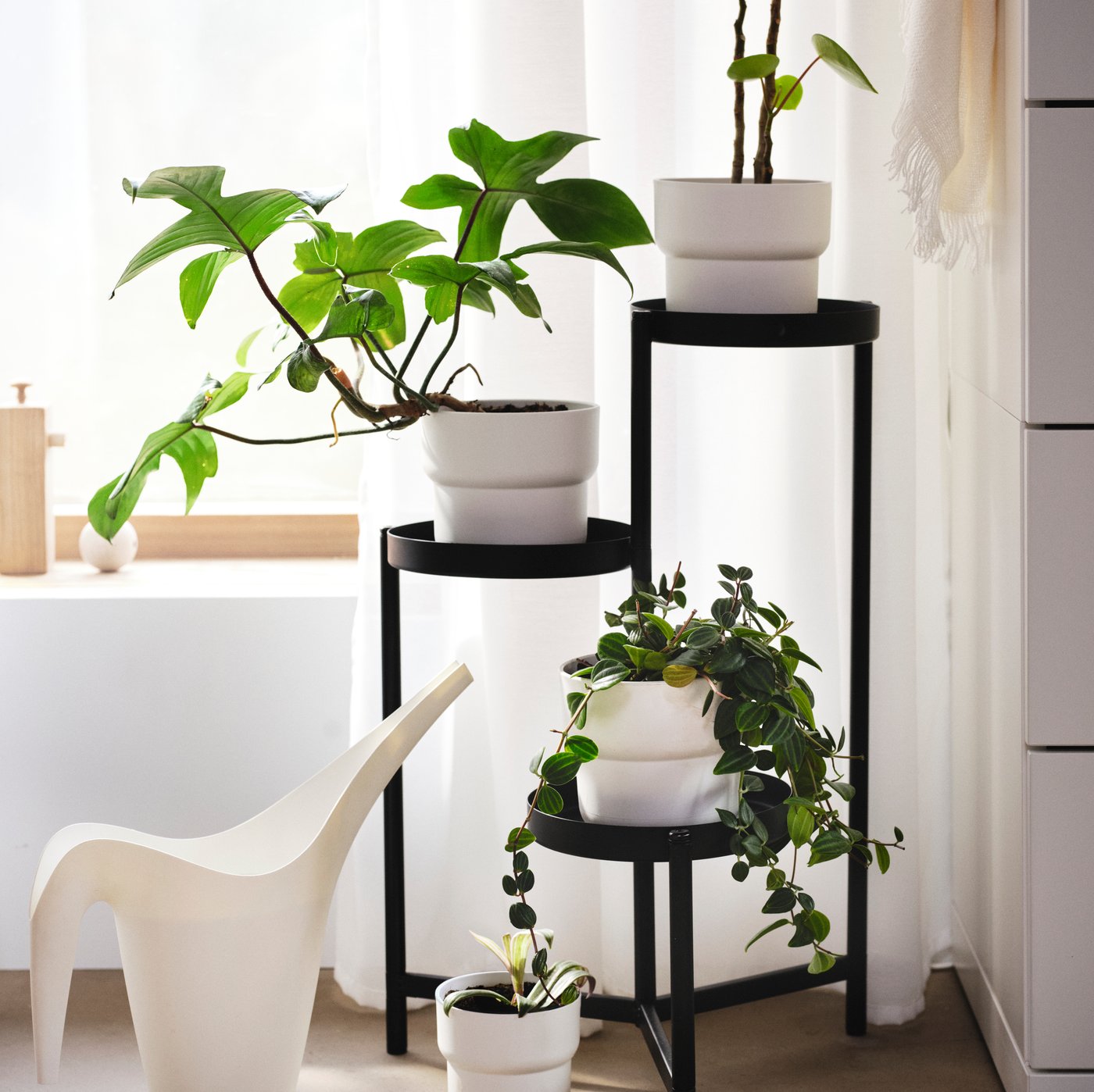 IKEA PS 2014 watering can on the floor next to an OLIVBLAD black plant stand with 3 potted plants next to a window with curtains.