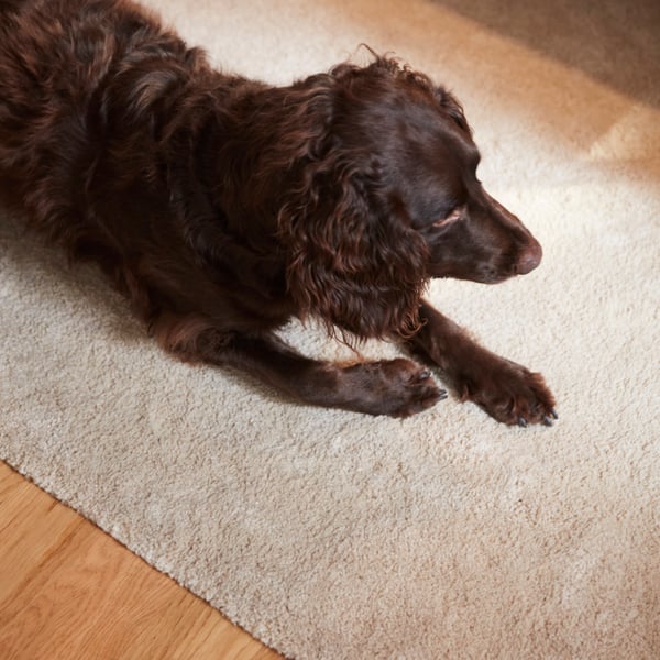 An off-white STOENSE rug, low pile