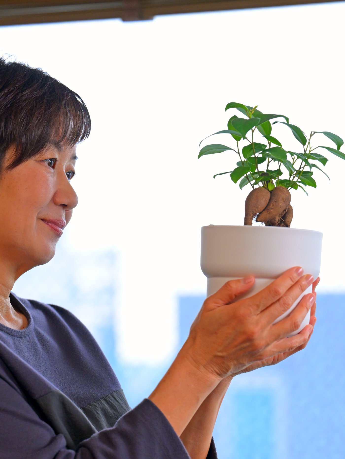 Žena drži belu saksiju u kojoj je malo bonsai drvo.