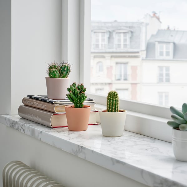 Windowsill with small cacti in colourful pots on books; urban view outside.