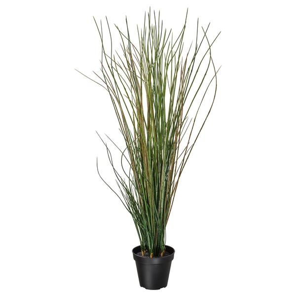 FEJKA artificial plant, green, potted in black, lifelike grassy texture, natural design, indoor/outdoor use.